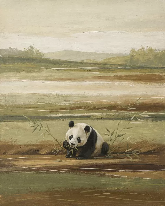 Bamboo Panda
