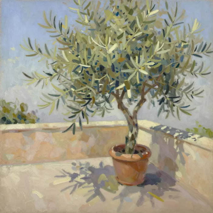 Terraced Olive