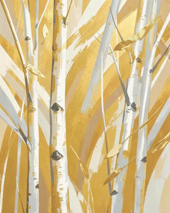 Aspen Rhythm