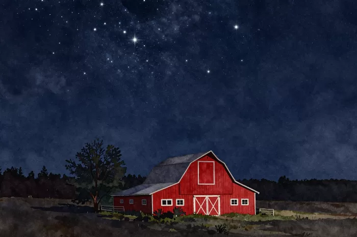 Starry Barn