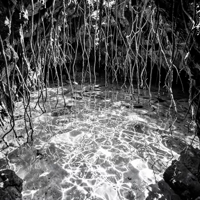 Cenote Reflections