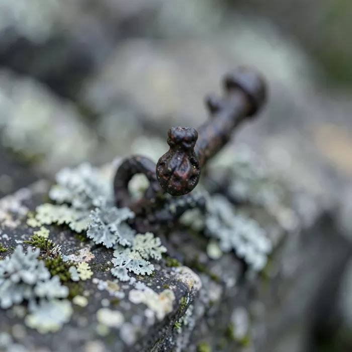 Iron Bloom