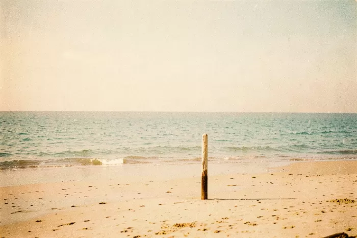 Low Tide IV