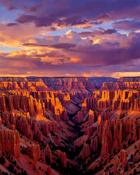 Amphitheatre Dawn