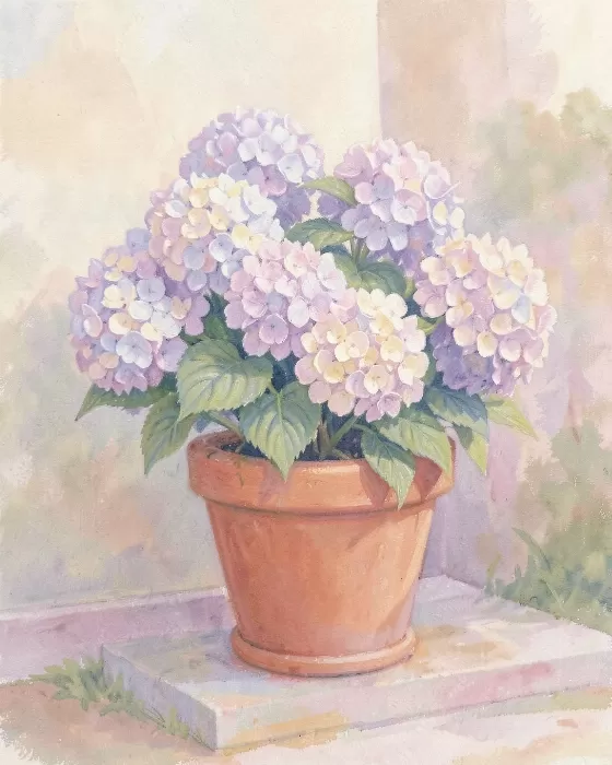 Garden Step