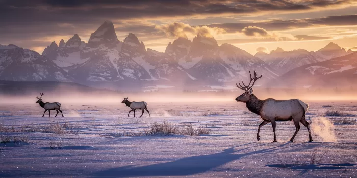 Teton Crossing