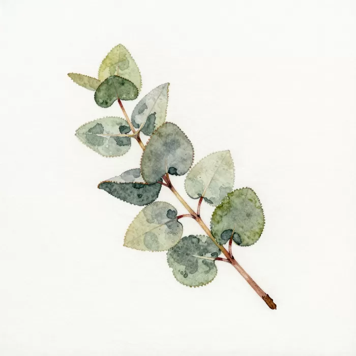 Grey Green Sprig
