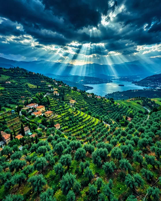 Limone Terraces