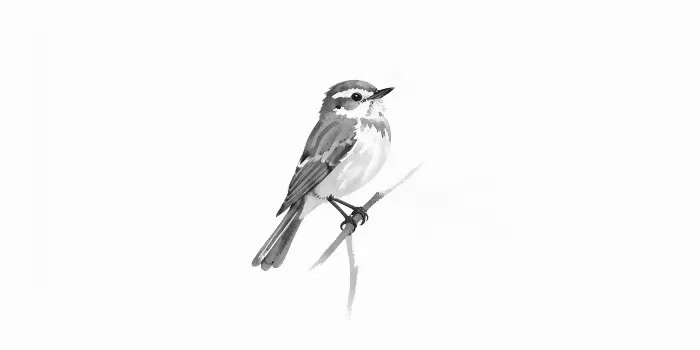 Little Wren