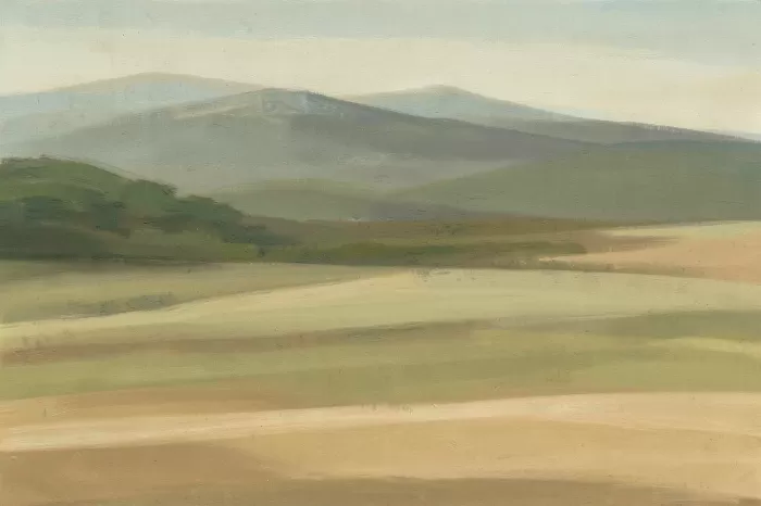 Kohala Haze