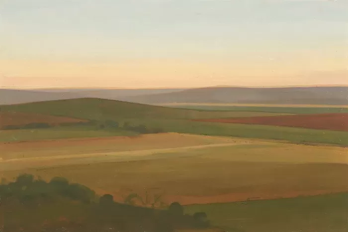 Dusty Fields