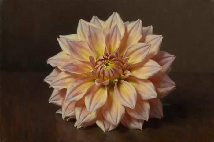 Dahlia Noir