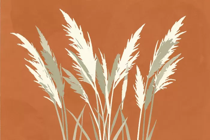 Clay Pampas