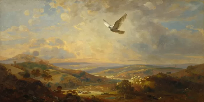 Dove Above Valley