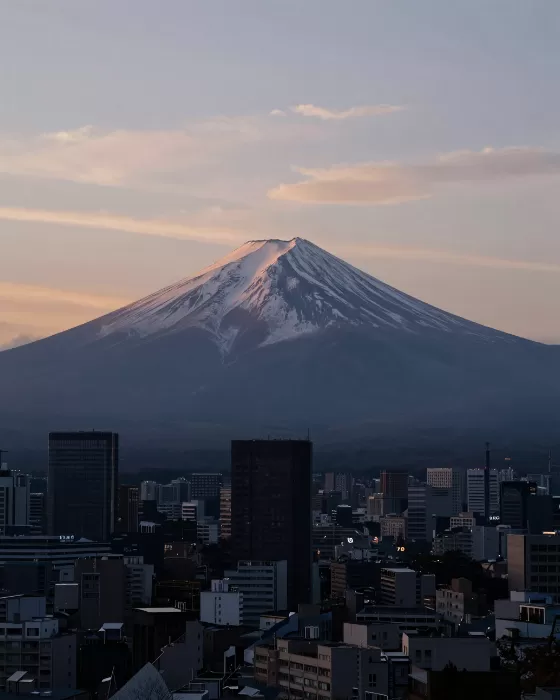 Tokyo Twilight