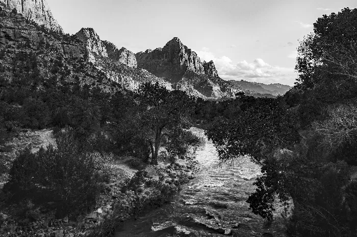 Virgin river in Zion National Park at Utah