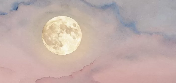 Moon Harbor