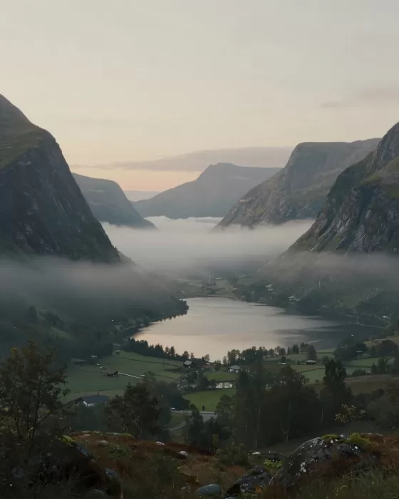 Misty Dawn III