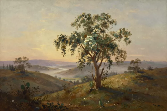 Golden Eucalyptus