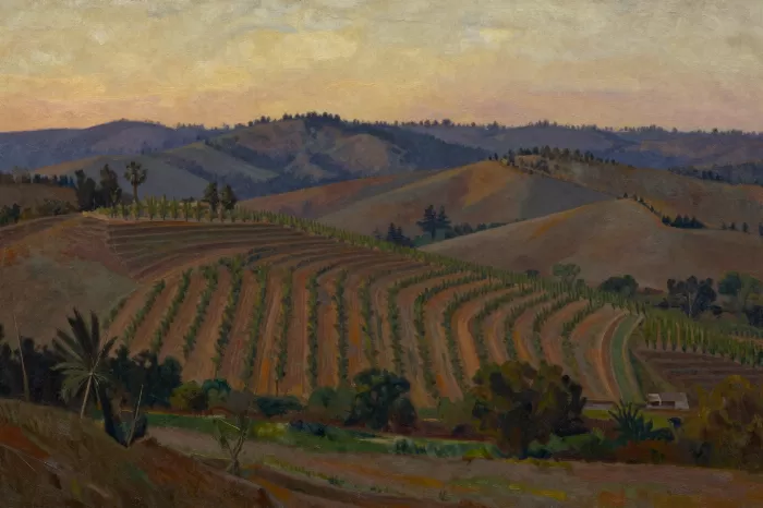 Napa Evening