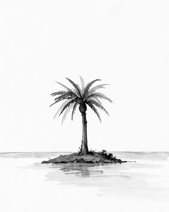 Lone Palm
