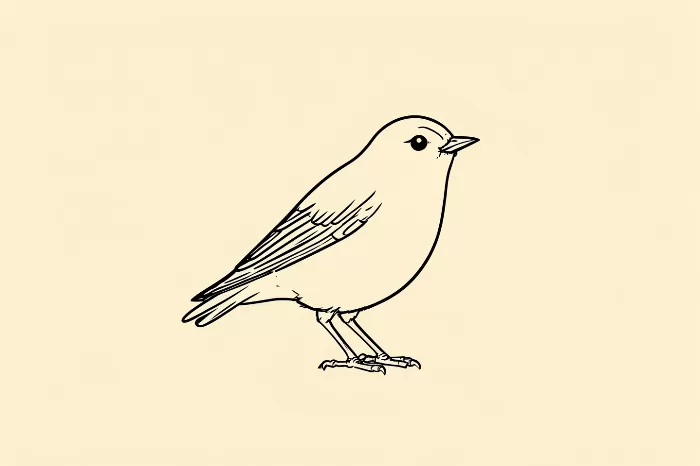Wren Sketch