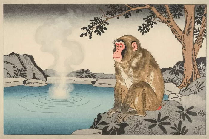 Winter Ape
