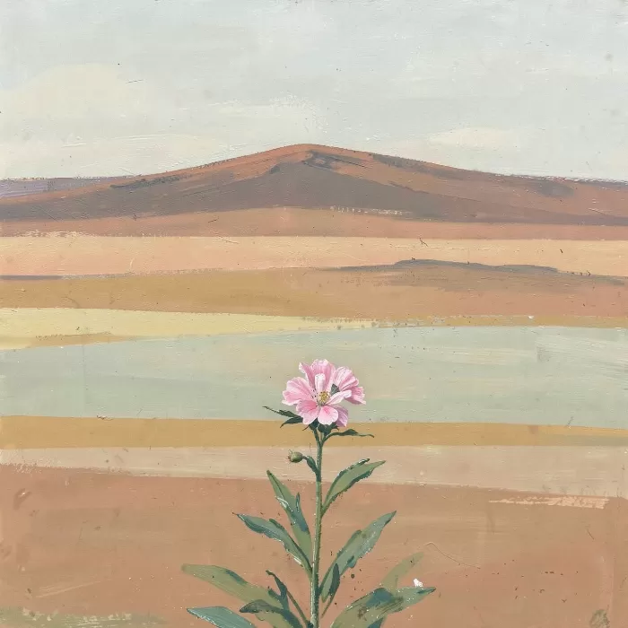 Prairie Pink