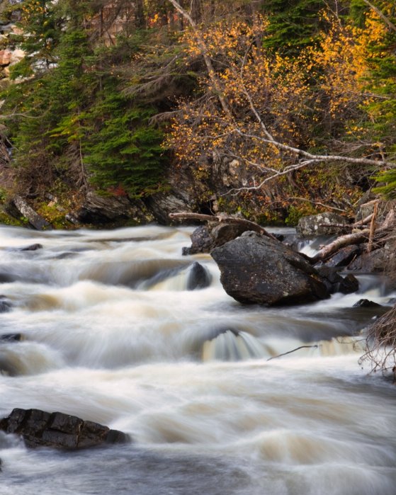 River Flow - Newfoundland art print