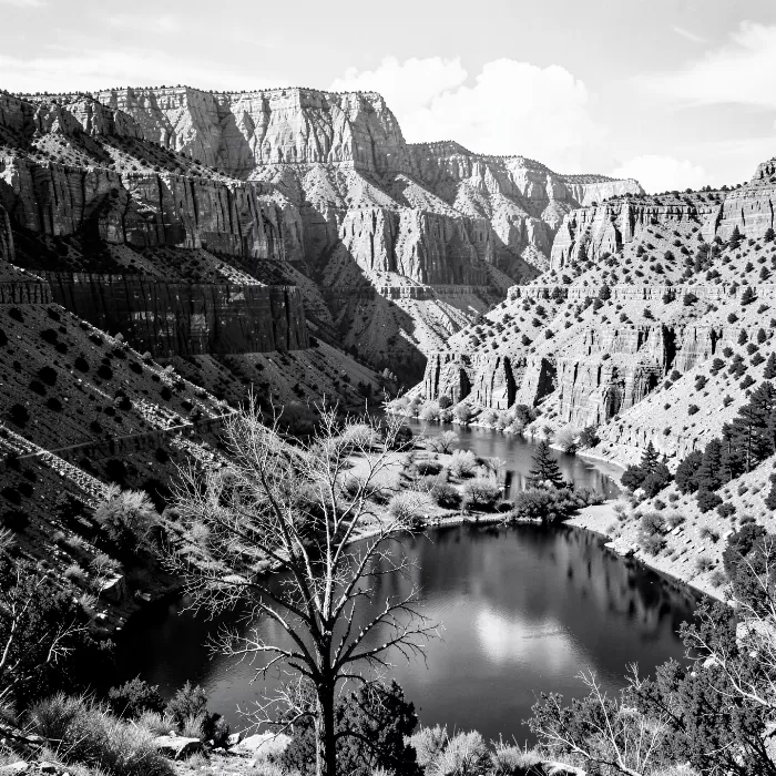 Canyon Curve