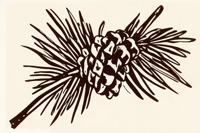 Pinecone Branch