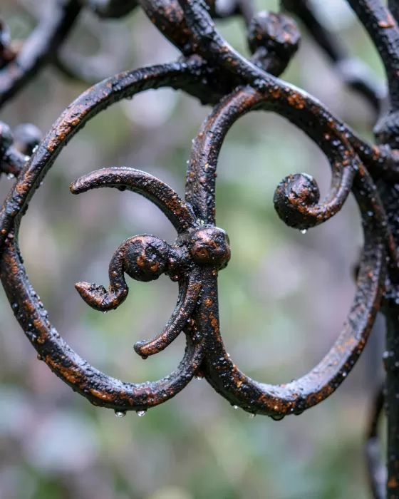 Iron Vine