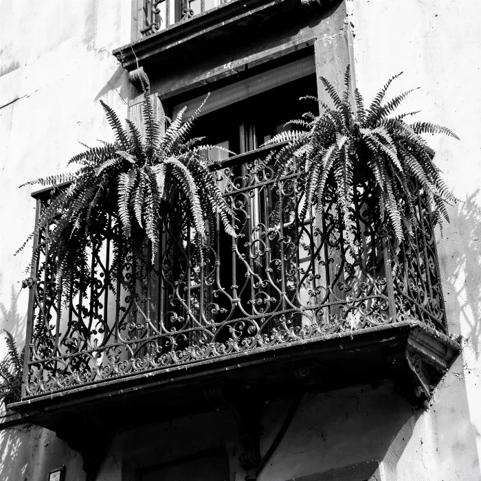 Quarter Lacework