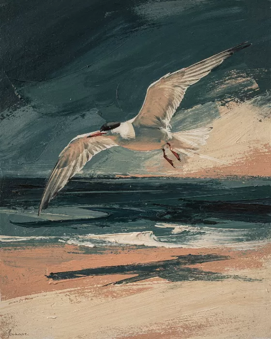Tern At Sea