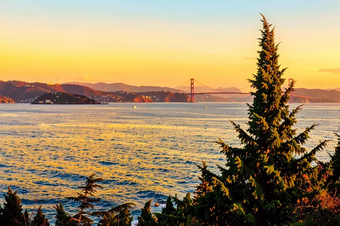 Marin Glow