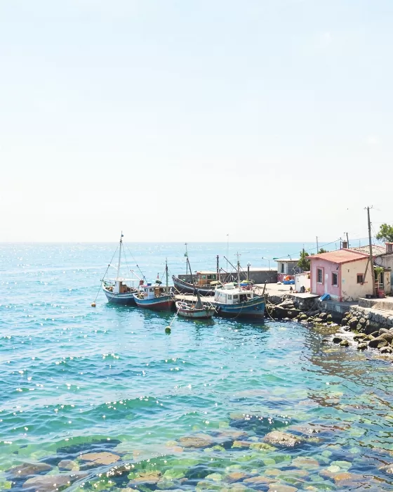 Fishing Haven