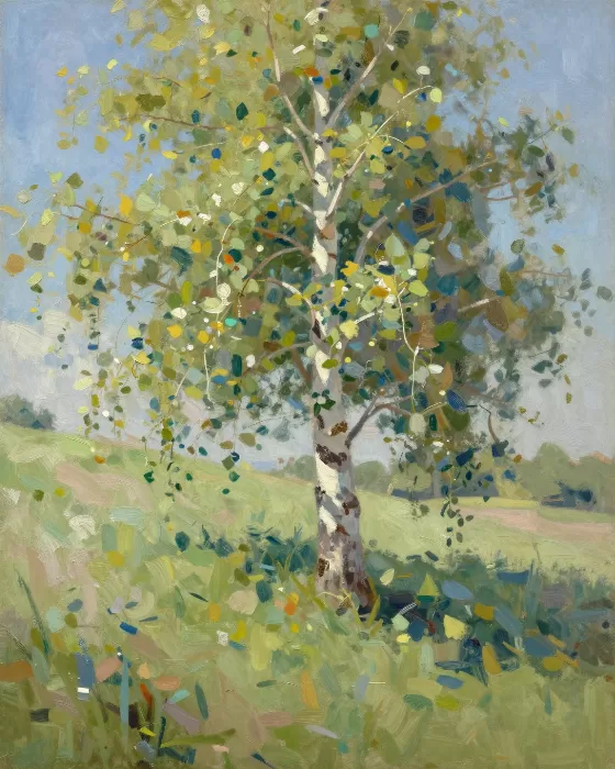 Morning Birch