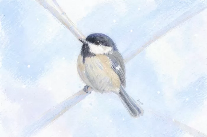 Chickadee Perch
