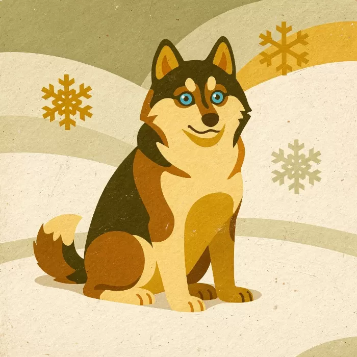 Snow Husky