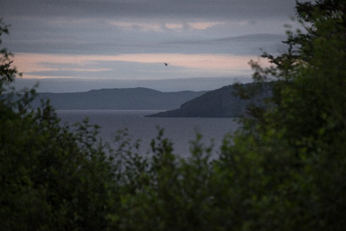Sun Down - Newfoundland art print