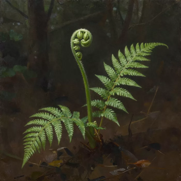 Woodland Spiral