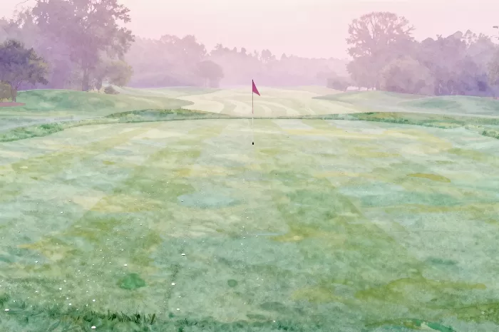 Dawn Fairways