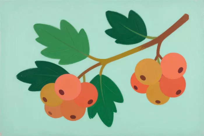 Salmonberry Bold