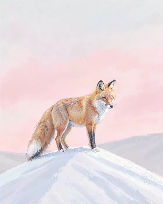 Pale Prowl