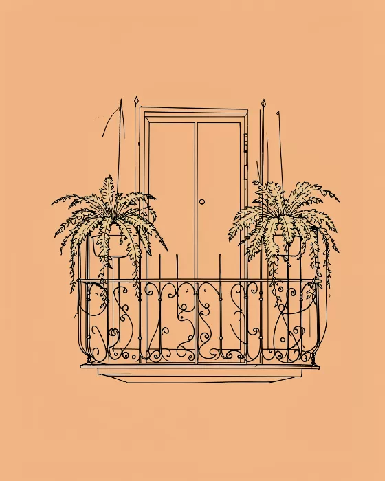 Hanging Ferns