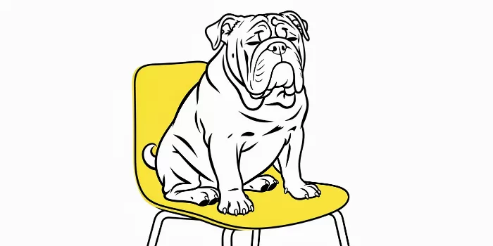 Yellow Seat