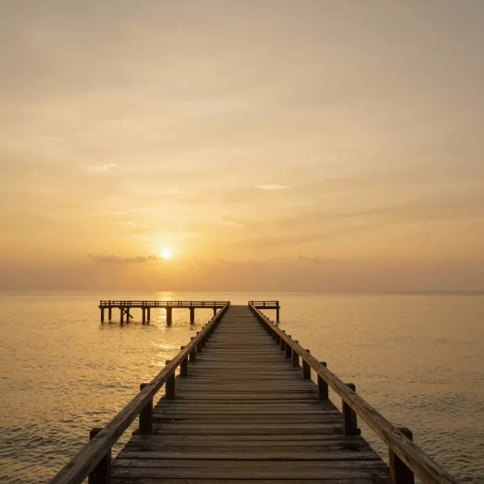 Luminous Boardwalk