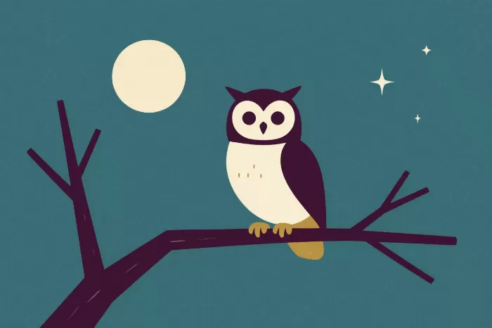 Retro Owl