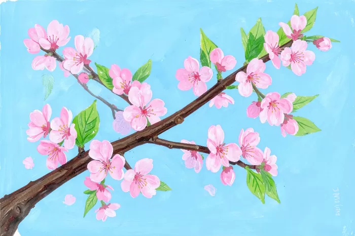 Cherry Bloom III