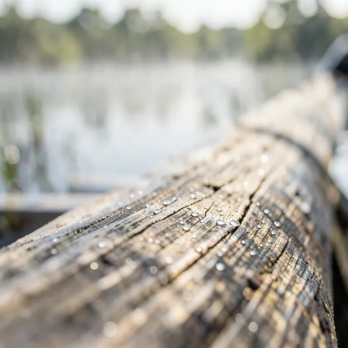 Canoe Grain